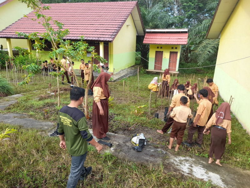 Proses Penanaman / Penyemaian