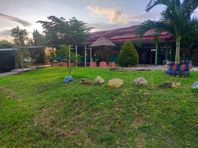 Halaman Dalam Sekolah (11)