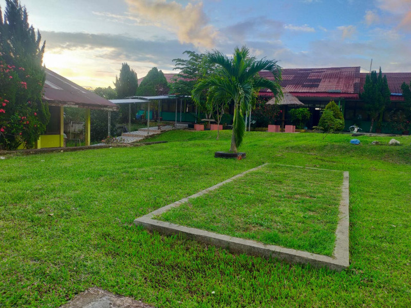 Halaman Dalam Sekolah (1)
