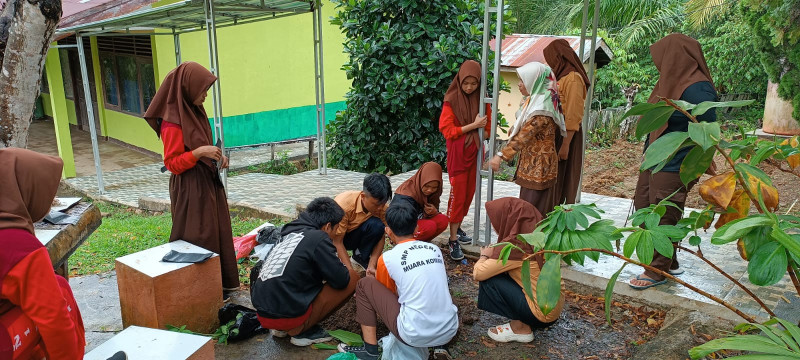 Proses Penanaman / Penyemaian