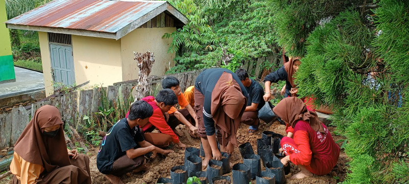 Proses Penanaman / Penyemaian