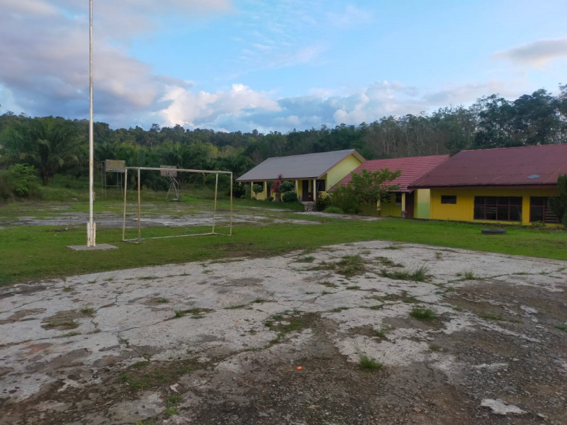 Halaman Dalam Sekolah (7)