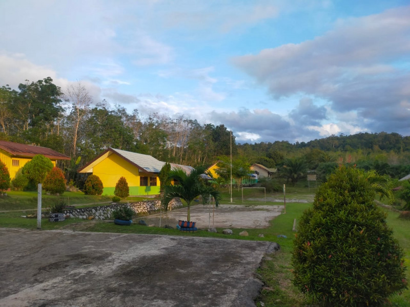 Halaman Dalam Sekolah (16)