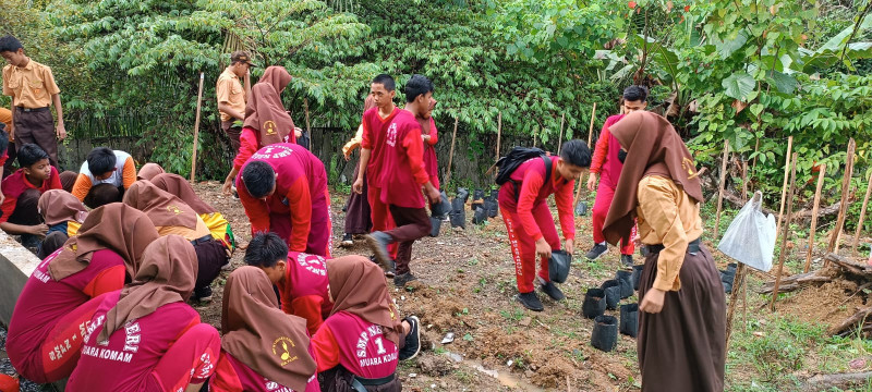 Proses Penanaman / Penyemaian