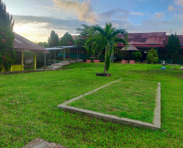 Halaman Dalam Sekolah (1)