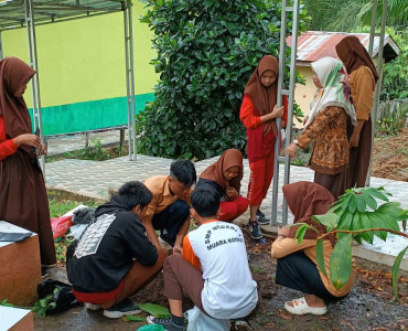 Proses Penanaman / Penyemaian