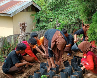 Proses Penanaman / Penyemaian
