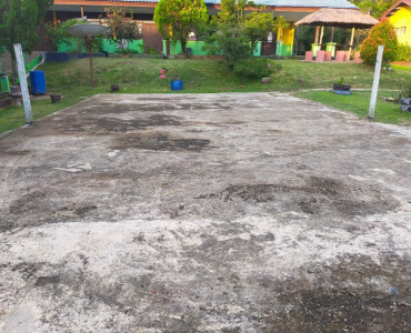 Halaman Dalam Sekolah (15)
