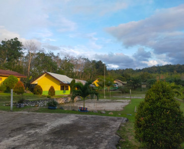 Halaman Dalam Sekolah (16)