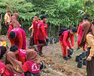 Proses Penanaman / Penyemaian